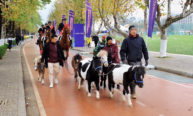 百萬名馬乘騎等你來體驗(yàn)